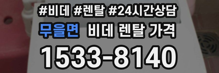 무을면 비데 렌탈 가격