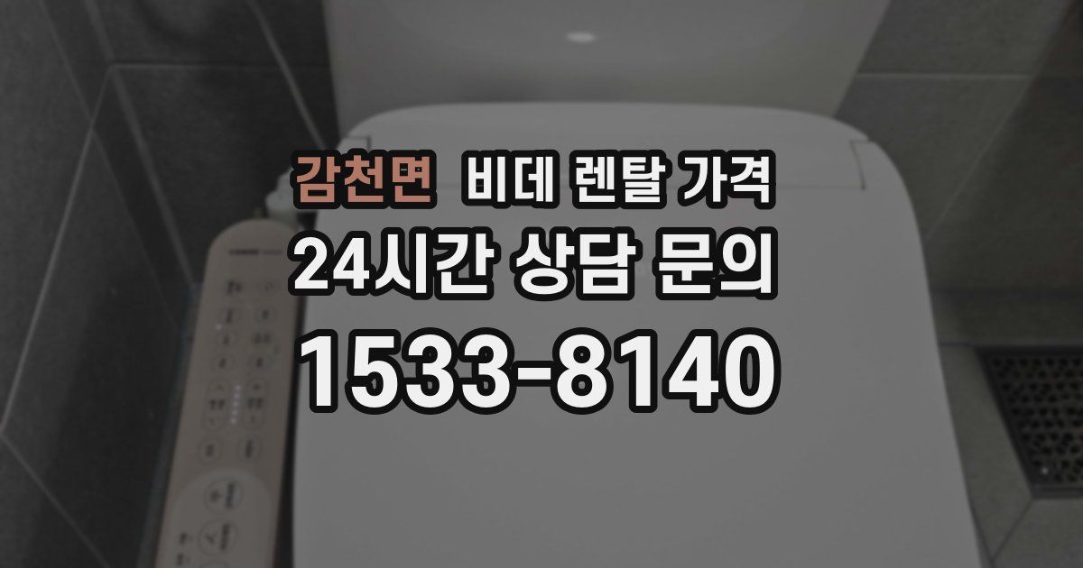 감천면 비데 렌탈 가격