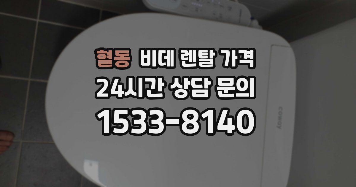 혈동 비데 렌탈 가격
