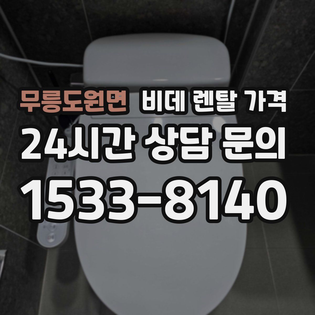 무릉도원면 비데 렌탈 가격