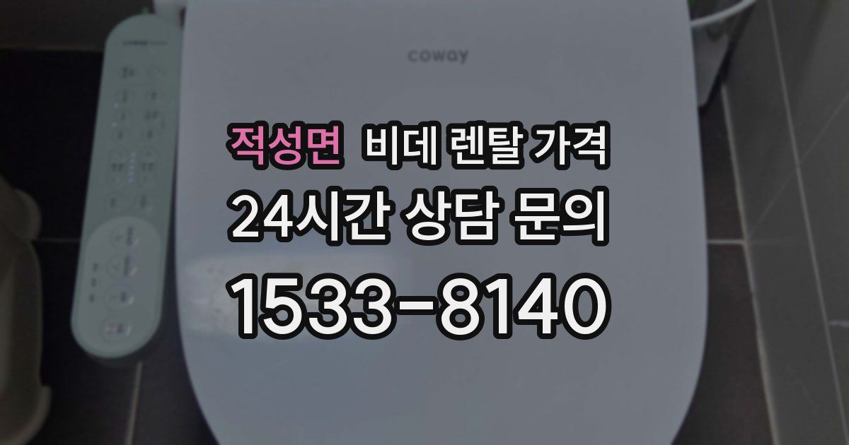 적성면 비데 렌탈 가격