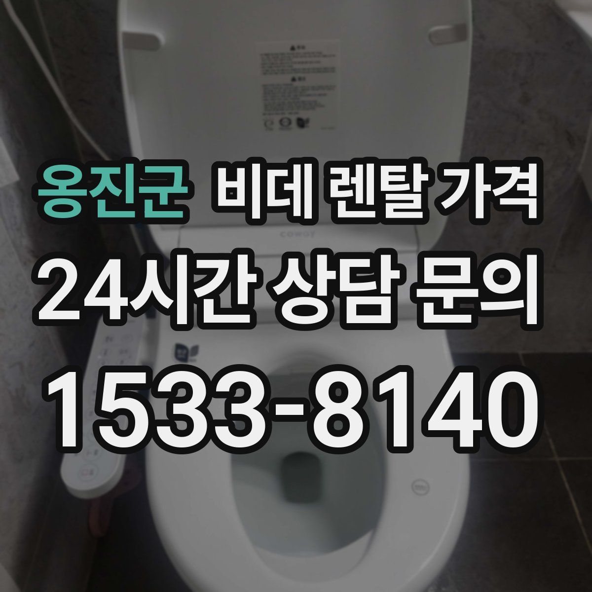 옹진군 비데 렌탈 가격