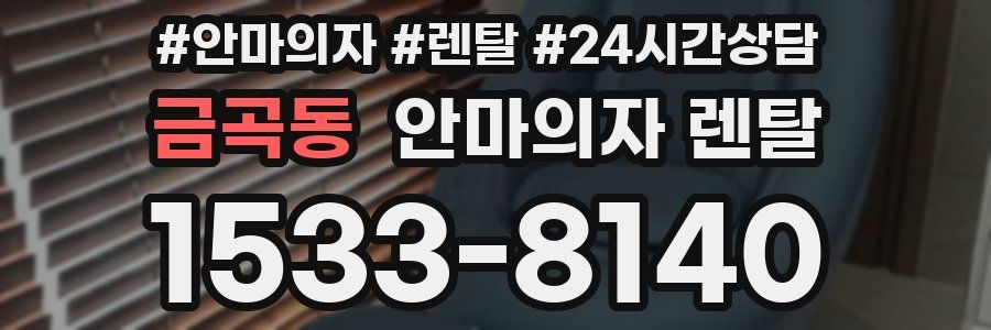 금곡동 안마의자 렌탈