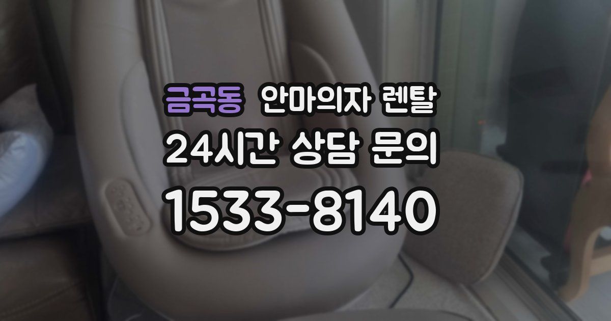 금곡동 안마의자 렌탈