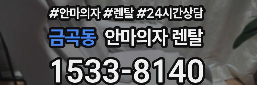 금곡동 안마의자 렌탈