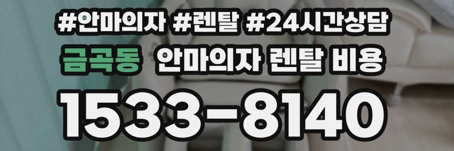 금곡동 안마의자 렌탈 비용