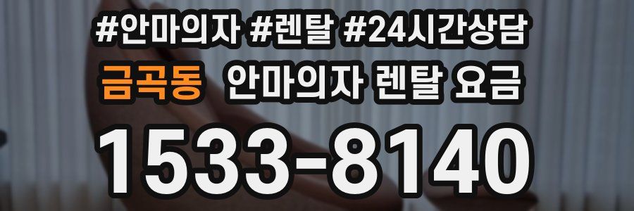 금곡동 안마의자 렌탈 요금