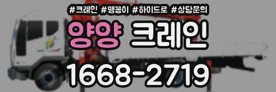 양양 크레인