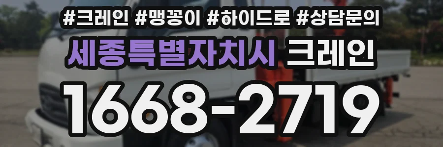 세종특별자치시 크레인