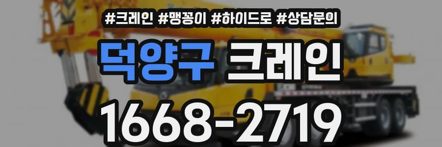 덕양구 크레인