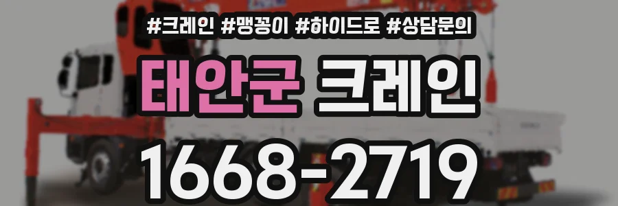 태안군 크레인