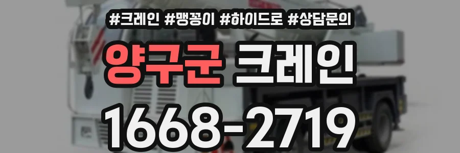 양구군 크레인