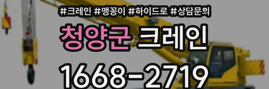 청양군 크레인