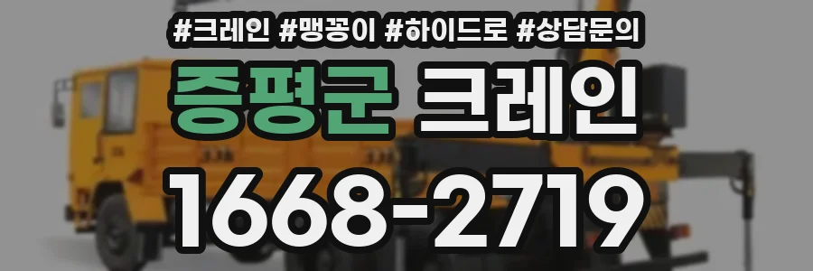 증평군 크레인