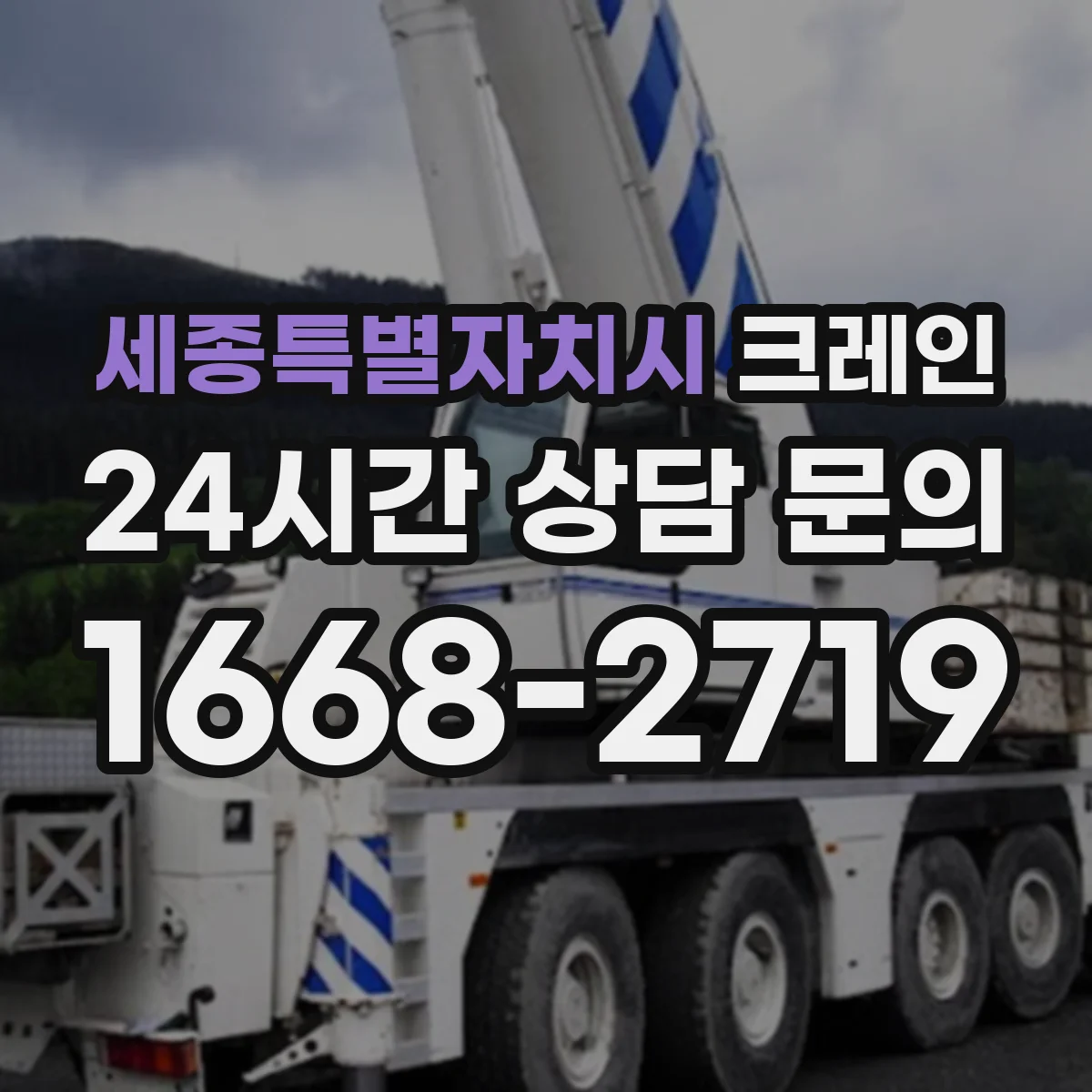 세종특별자치시 크레인