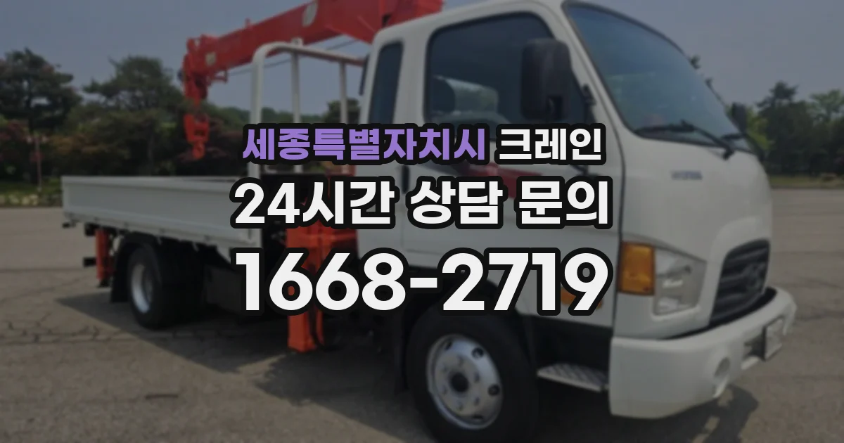 세종특별자치시 크레인
