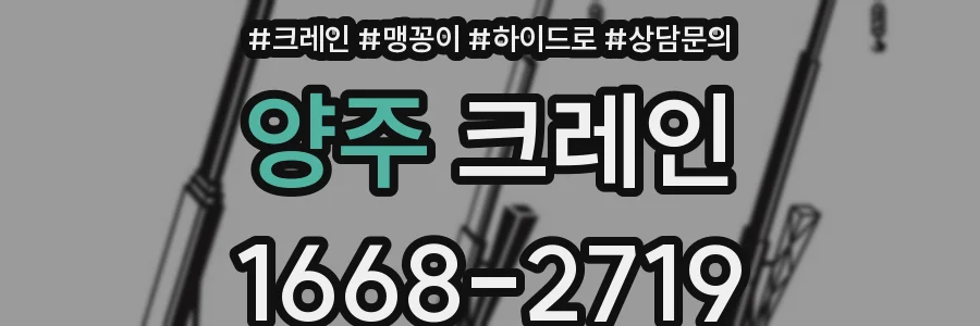 양주 크레인