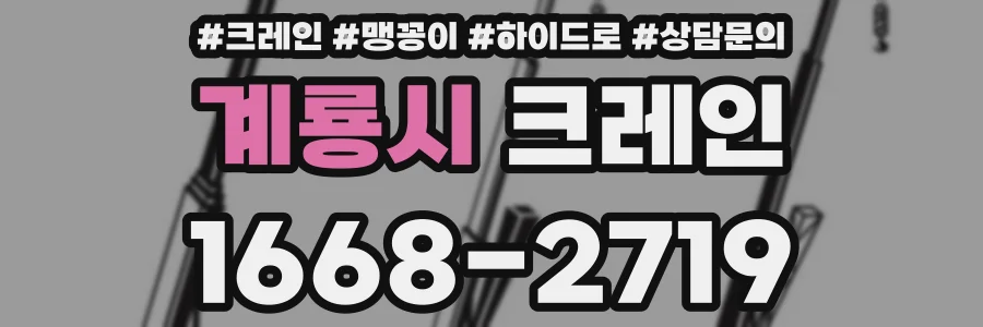 계룡시 크레인