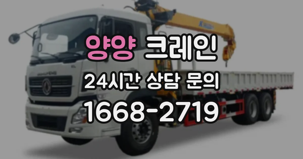 양양 크레인