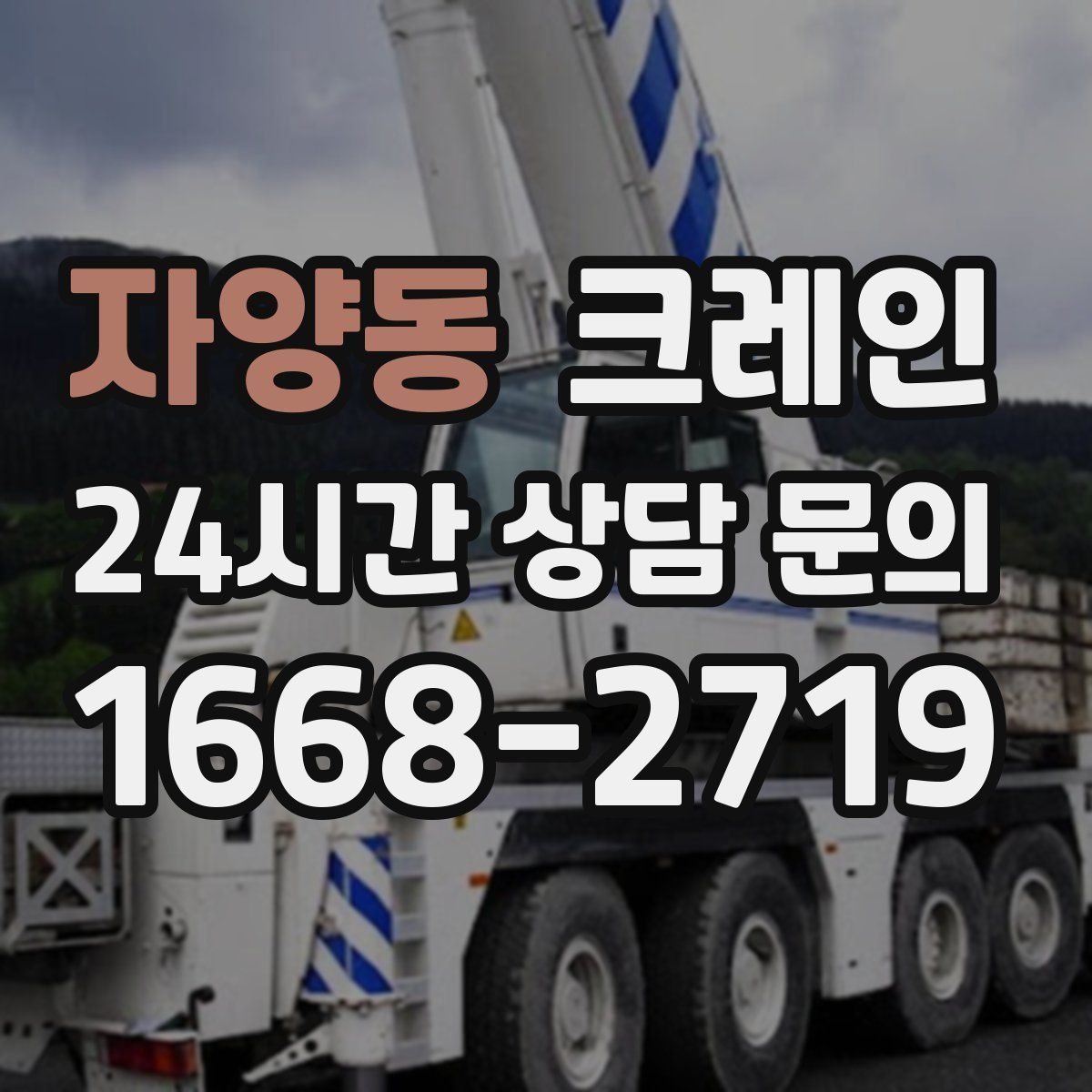 자양동 카고 크레인