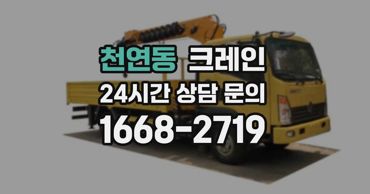 천연동 크레인