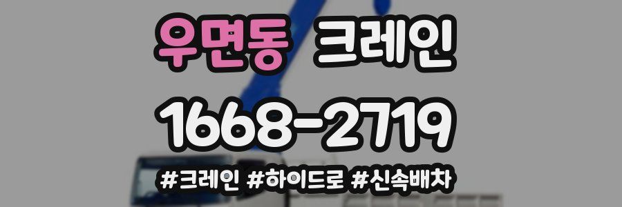 우면동 크레인 작업