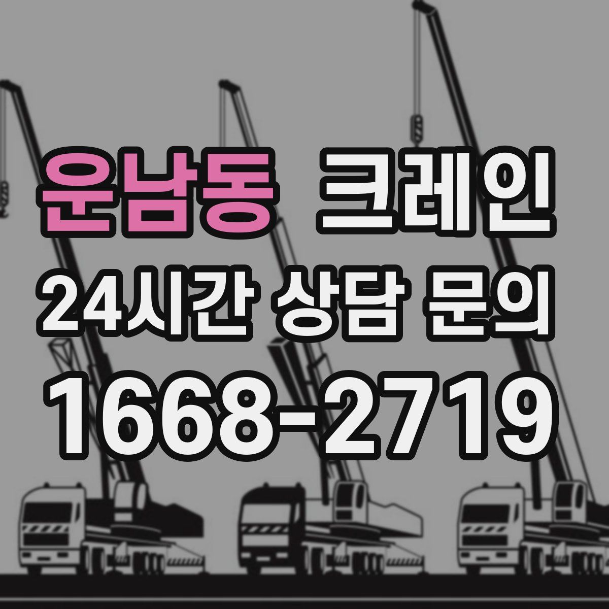 운남동 카고 크레인