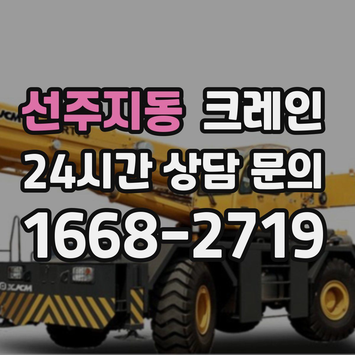 선주지동 카고 크레인