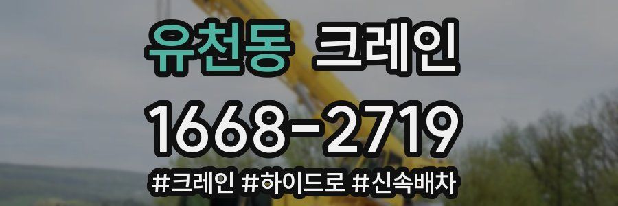 유천동 크레인 작업