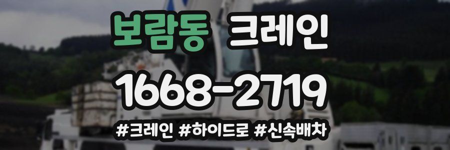 보람동 크레인 작업