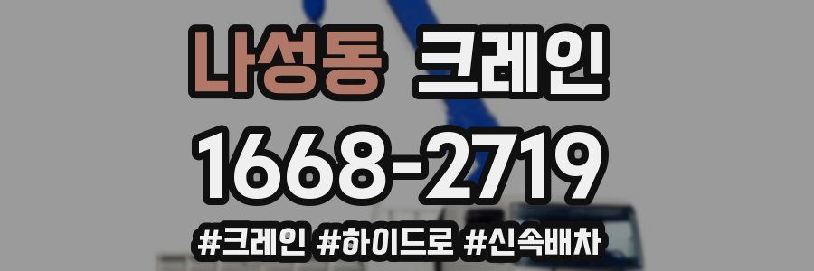 나성동 크레인 작업