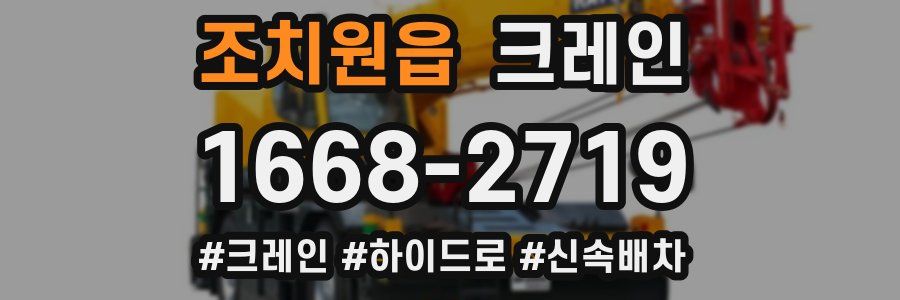 조치원읍 크레인 작업