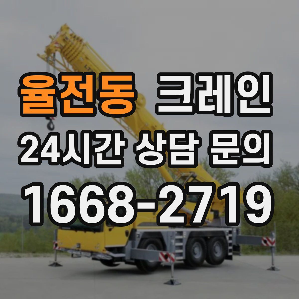 율전동 카고 크레인