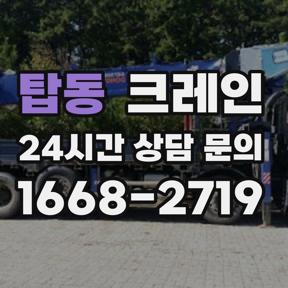 탑동 카고 크레인