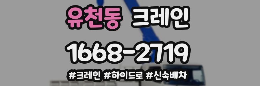 유천동 크레인 작업