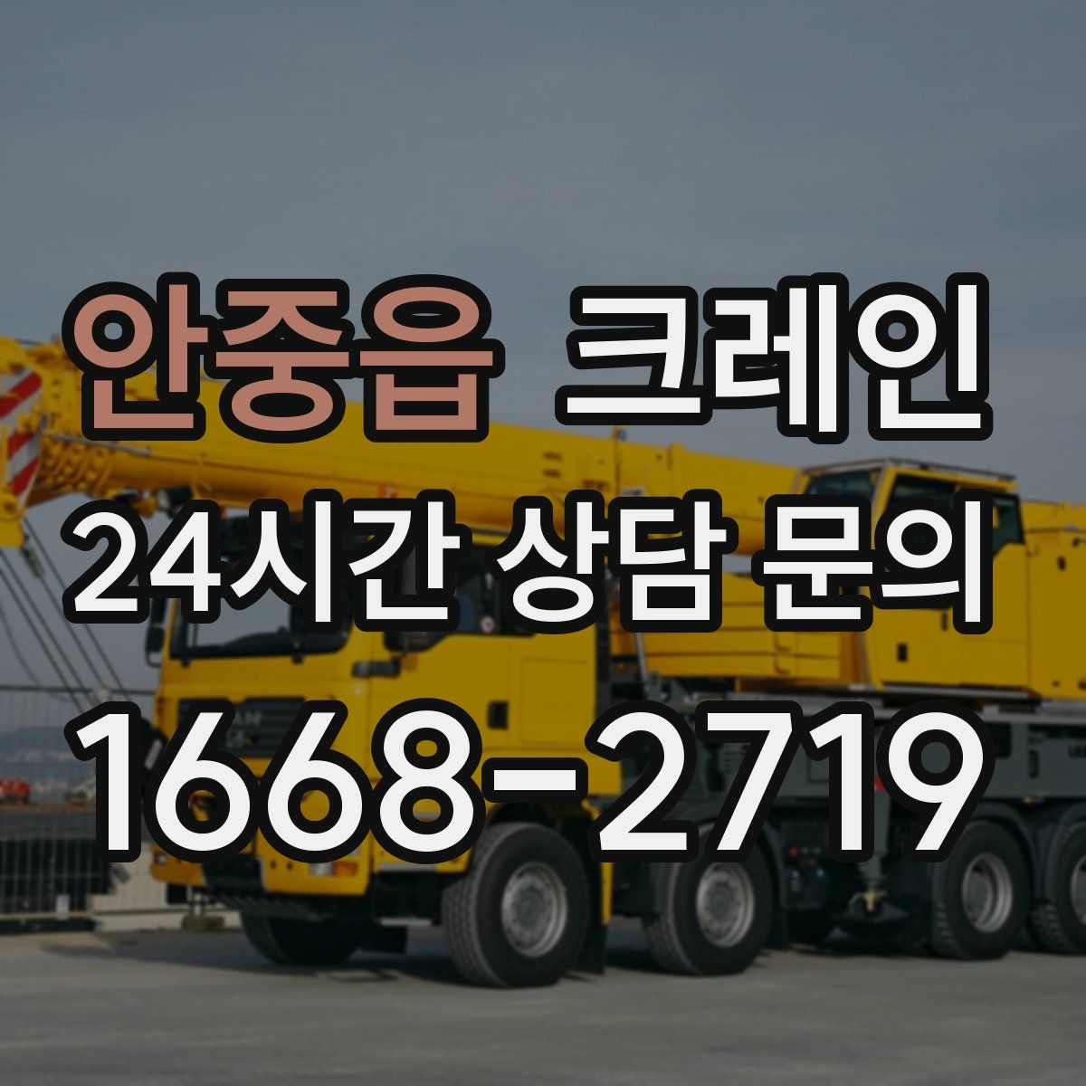 안중읍 카고 크레인
