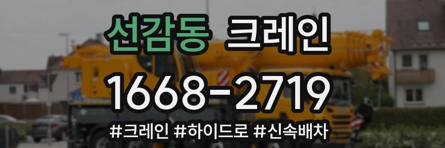 선감동 크레인 작업