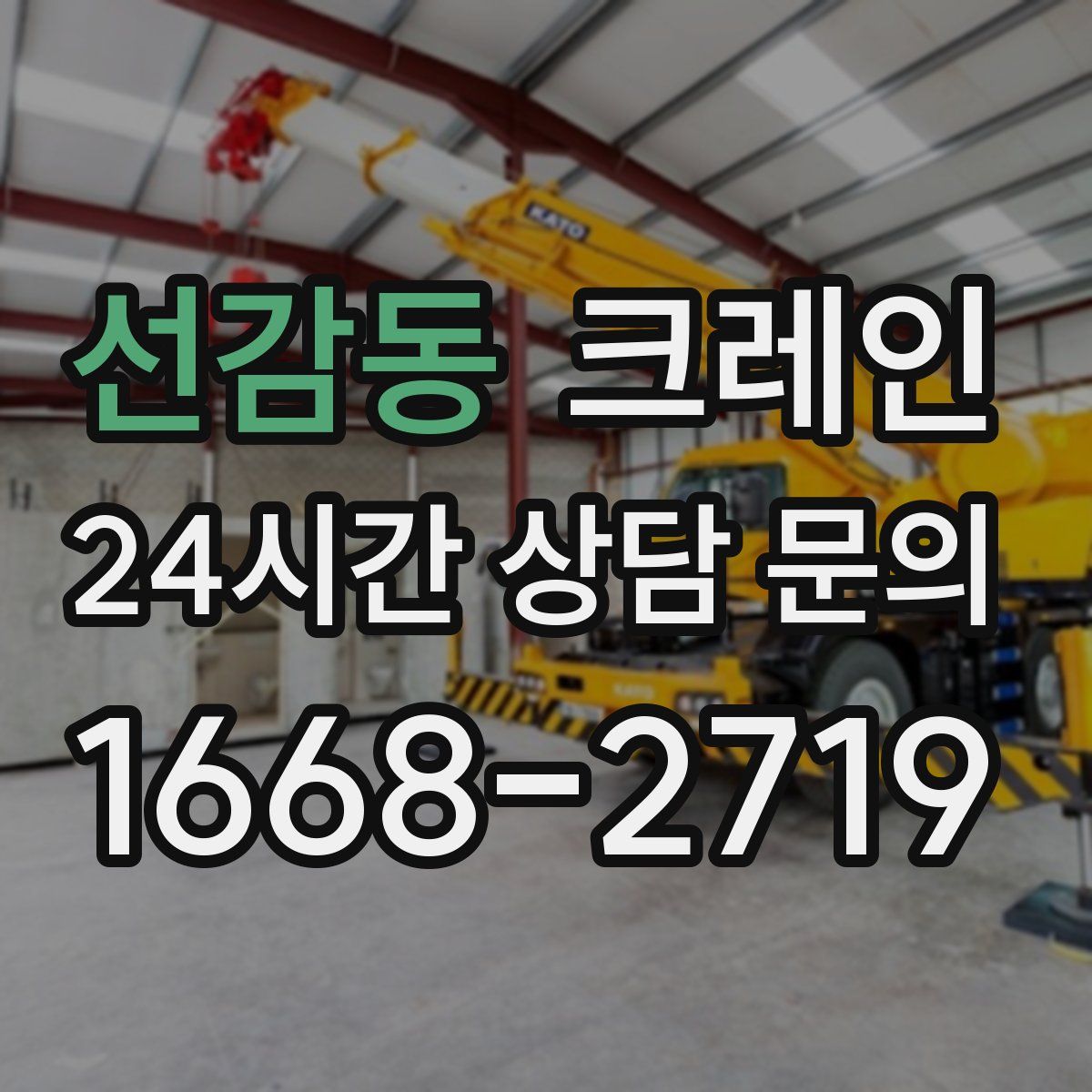 선감동 카고 크레인