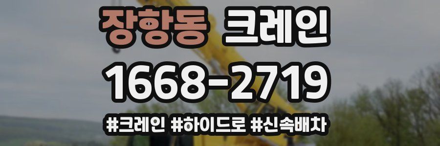 장항동 크레인 작업