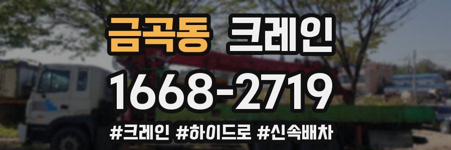 금곡동 크레인 작업