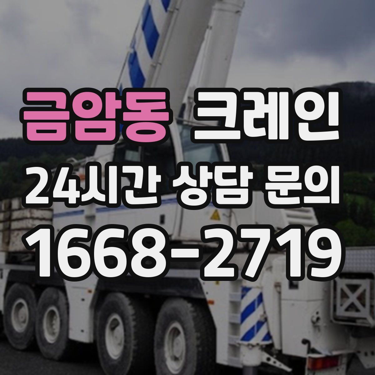 금암동 카고 크레인