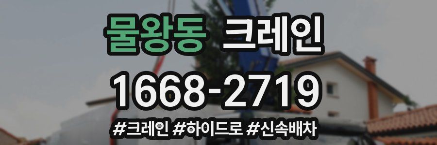 물왕동 크레인 작업