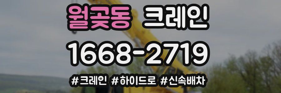 월곶동 크레인 작업