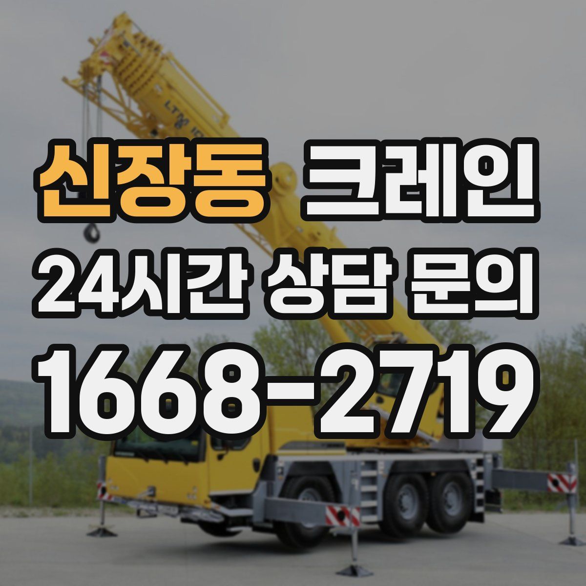 신장동 카고 크레인