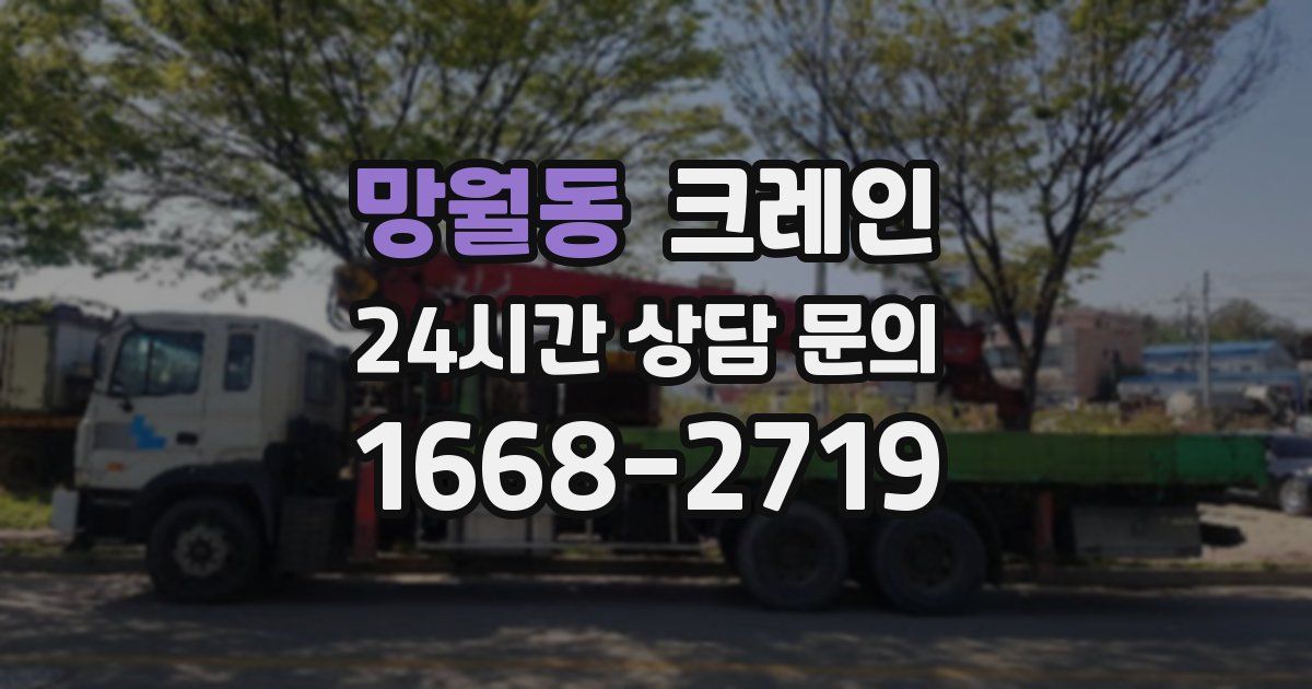 망월동 크레인