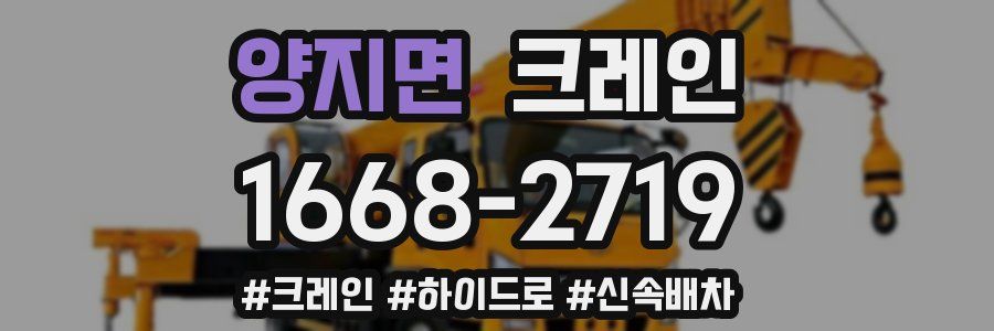 양지면 크레인 작업