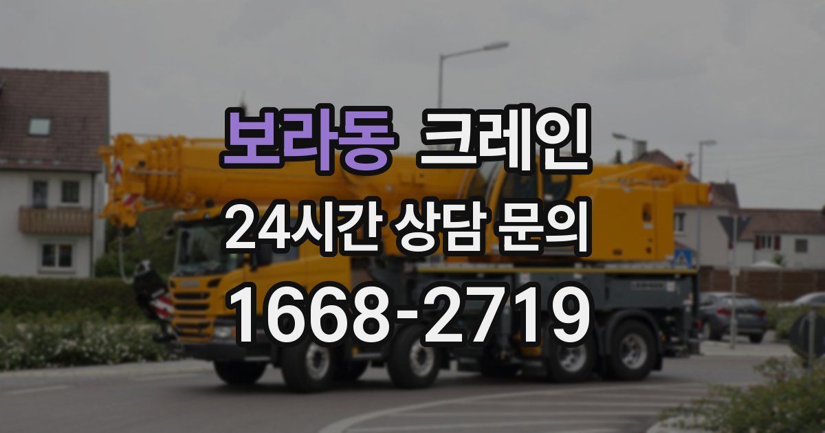 보라동 크레인