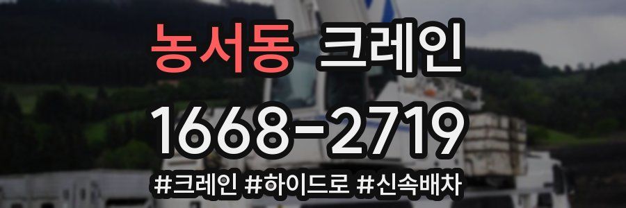 농서동 크레인 작업