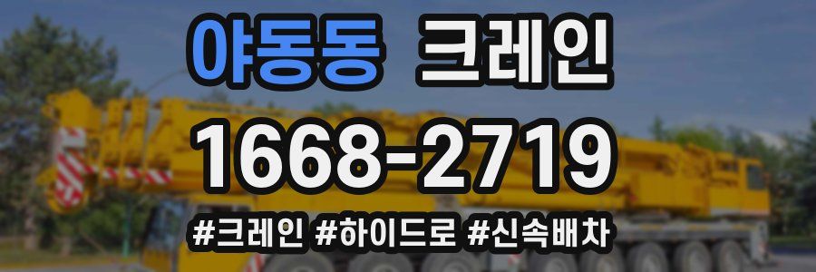 야동동 크레인 작업