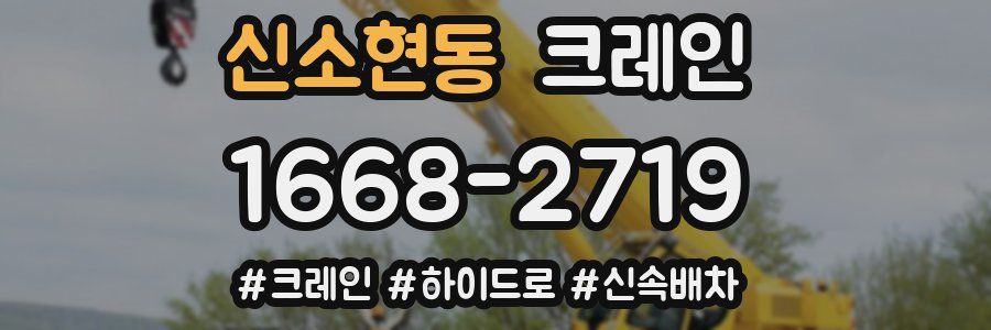 신소현동 크레인 작업